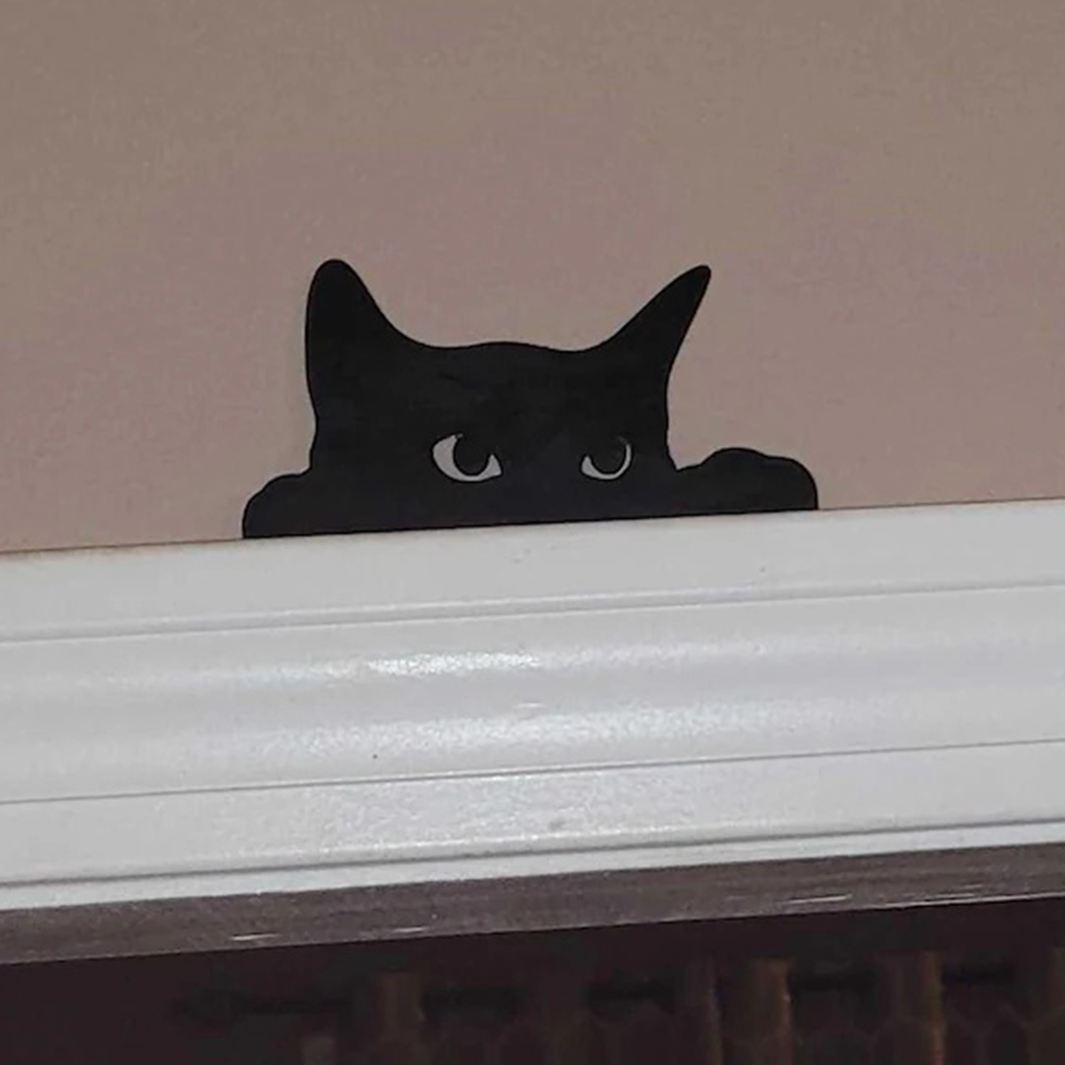 1 Pc Cat Looking Up Door Toppe - Tablet Accessories Aesthetic avaliação e preço